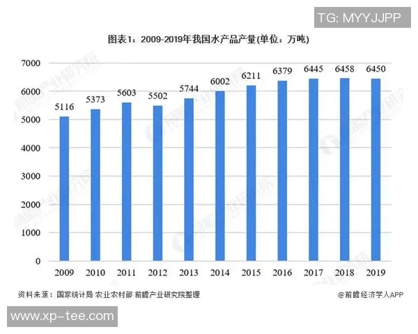 体育产业创新发展路径探索与市场趋势分析
