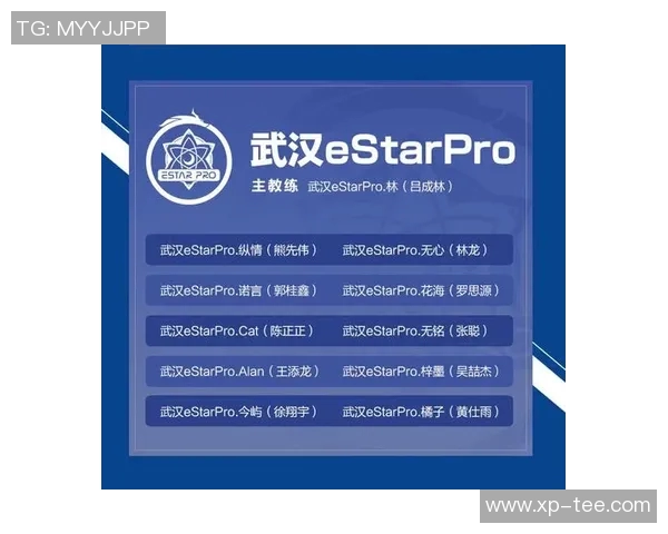 王者荣耀深度解析：TES战术布局与团队协作的秘密揭秘